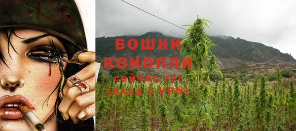 гашик Куйбышев