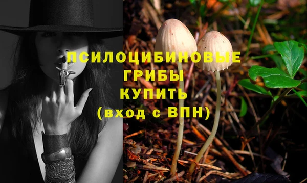 mdpv Кукмор