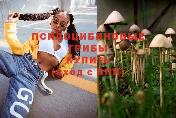 гашик Куйбышев