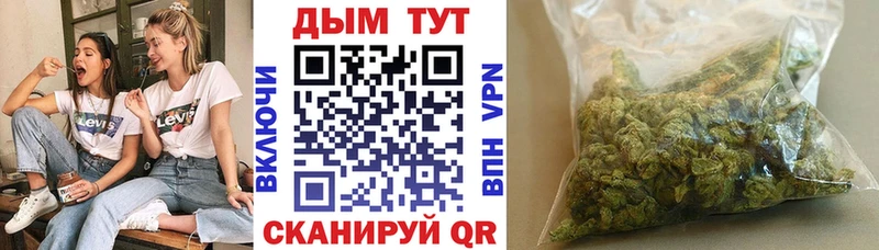 Купить закладки  Аргун  Каннабис индика 